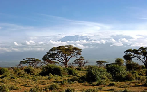 Kenya Safari from Mombasqa to Tsavo East, Tsavo West and Amboseli - Kilimanjaro Safari